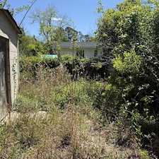 Lawn-Cleanup-in-Conway-SC 9